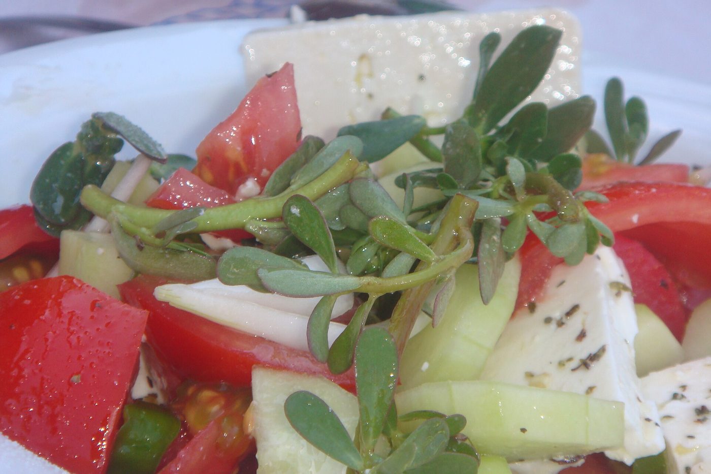 Græsk salat med tomat, feta og oliven